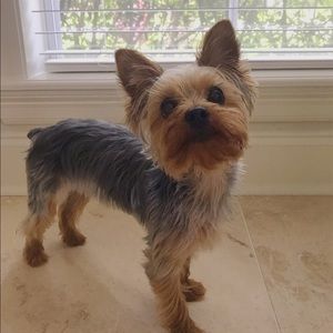 Meet your Posher, Ava